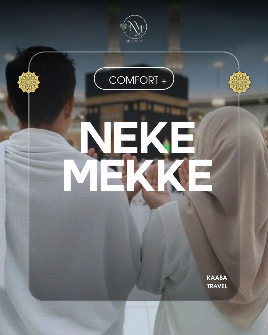 Comfort + · слайд 1